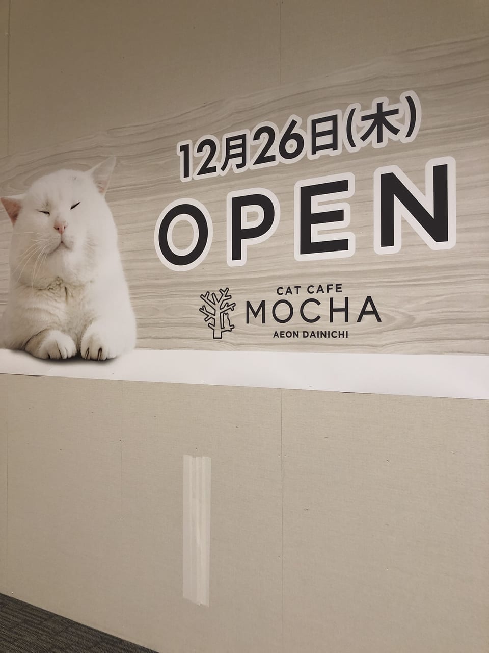 守口市 猫ちゃん好きの方必見 イオンモール大日さんに 猫カフェmocha モカ イオンモール大日店 さんがオープンされました 号外net 守口 門真