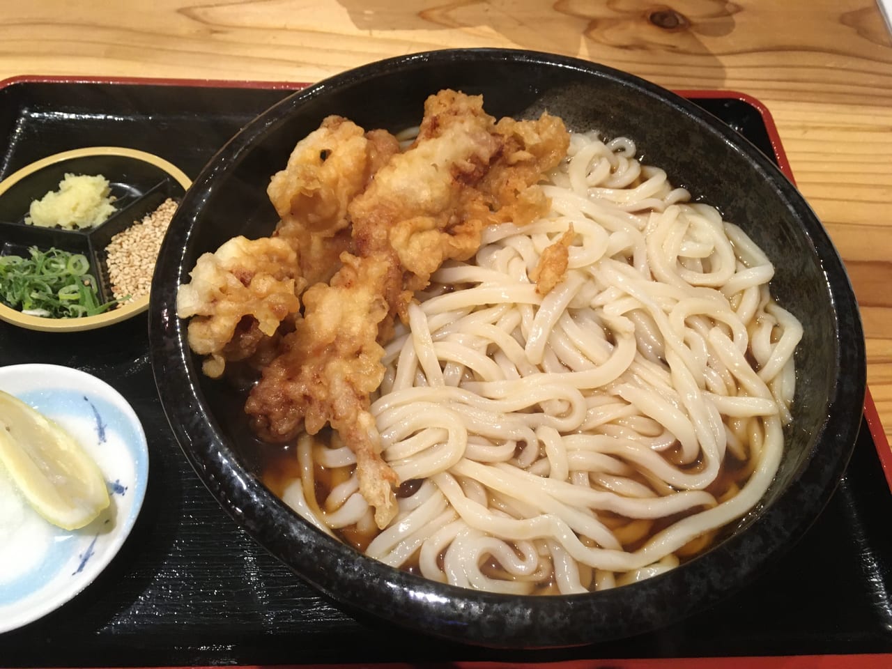 守口市】極盛りはうどん１キログラム！！早苗町の『うどん屋こぞう