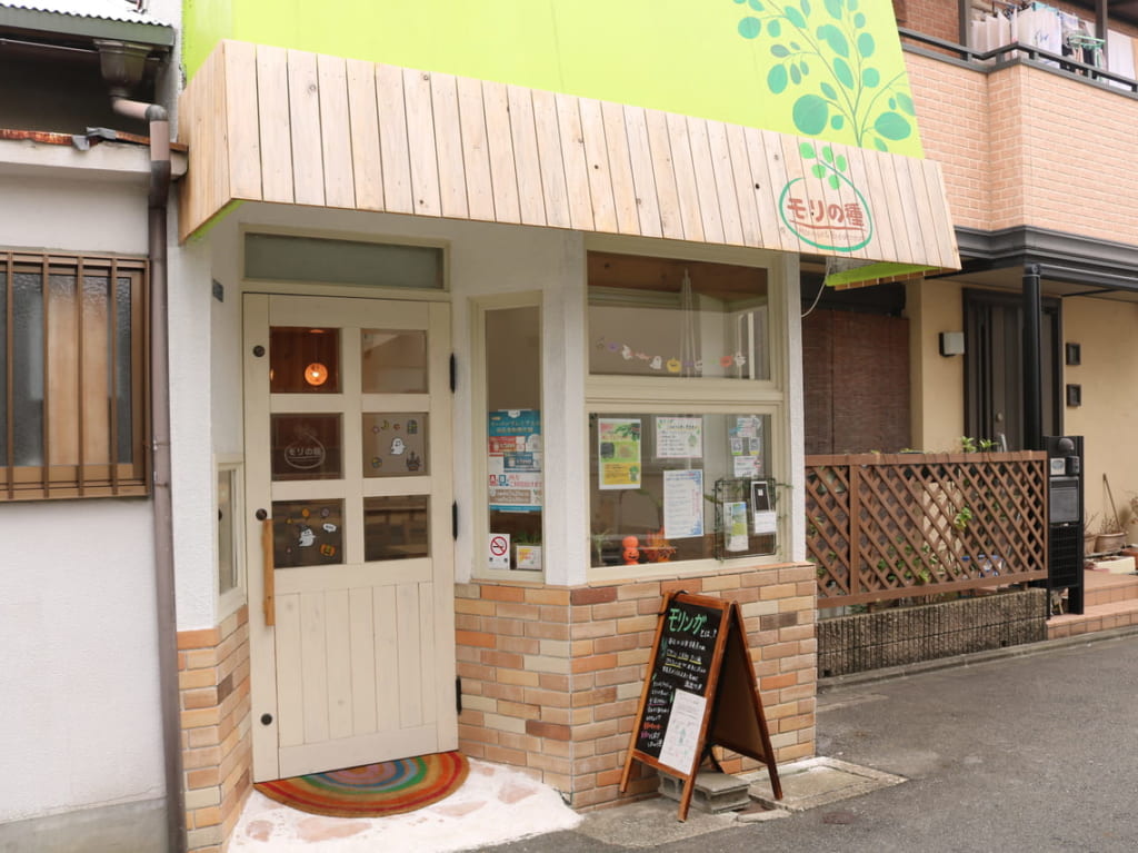 モリの種