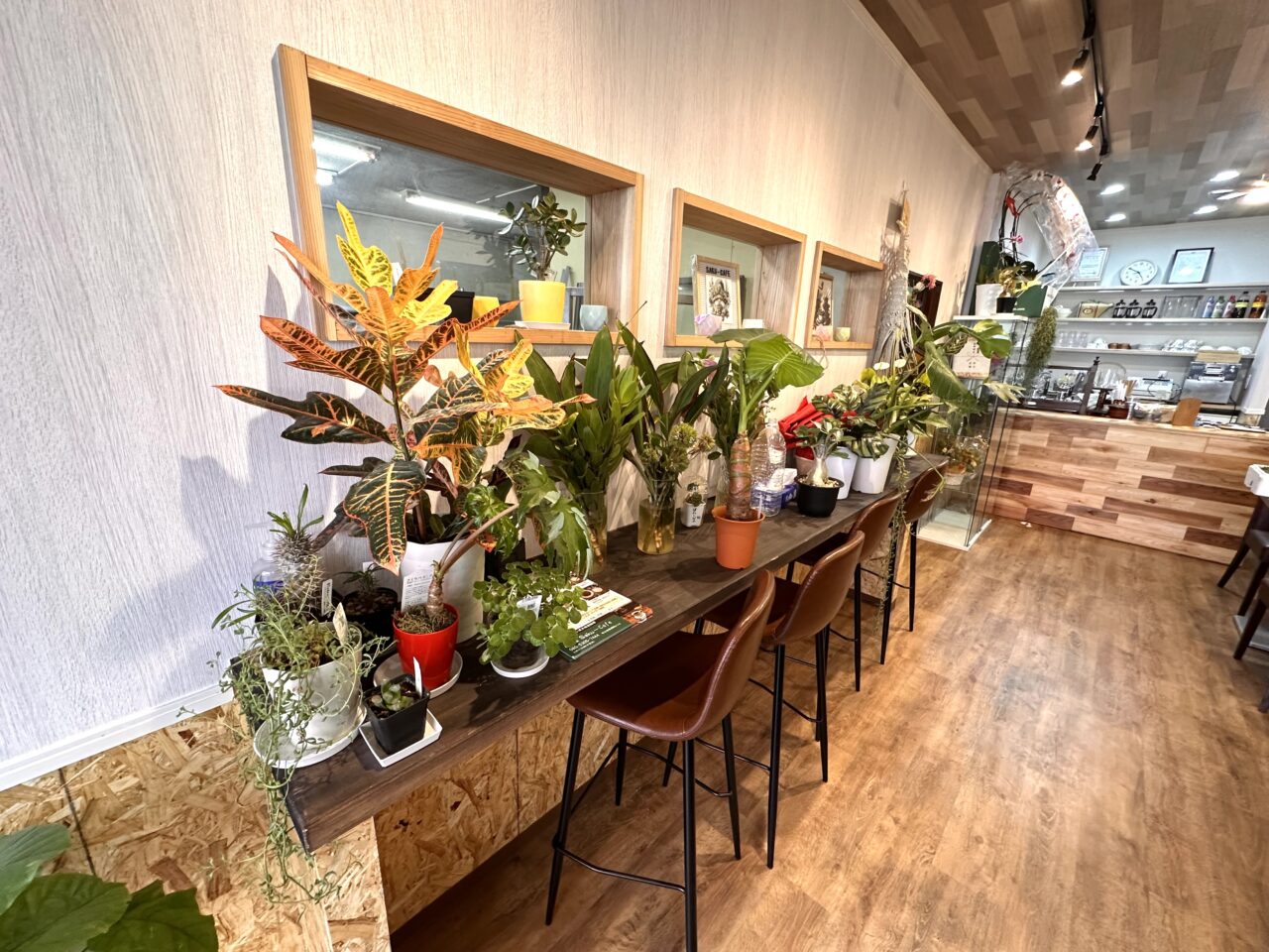 Saku-Cafe