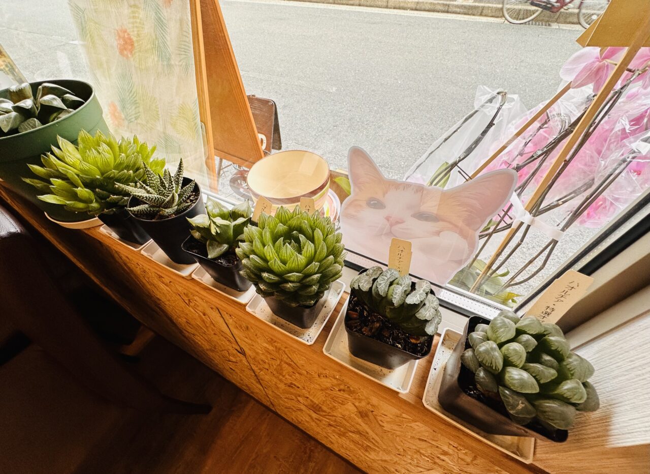 Saku-Cafe