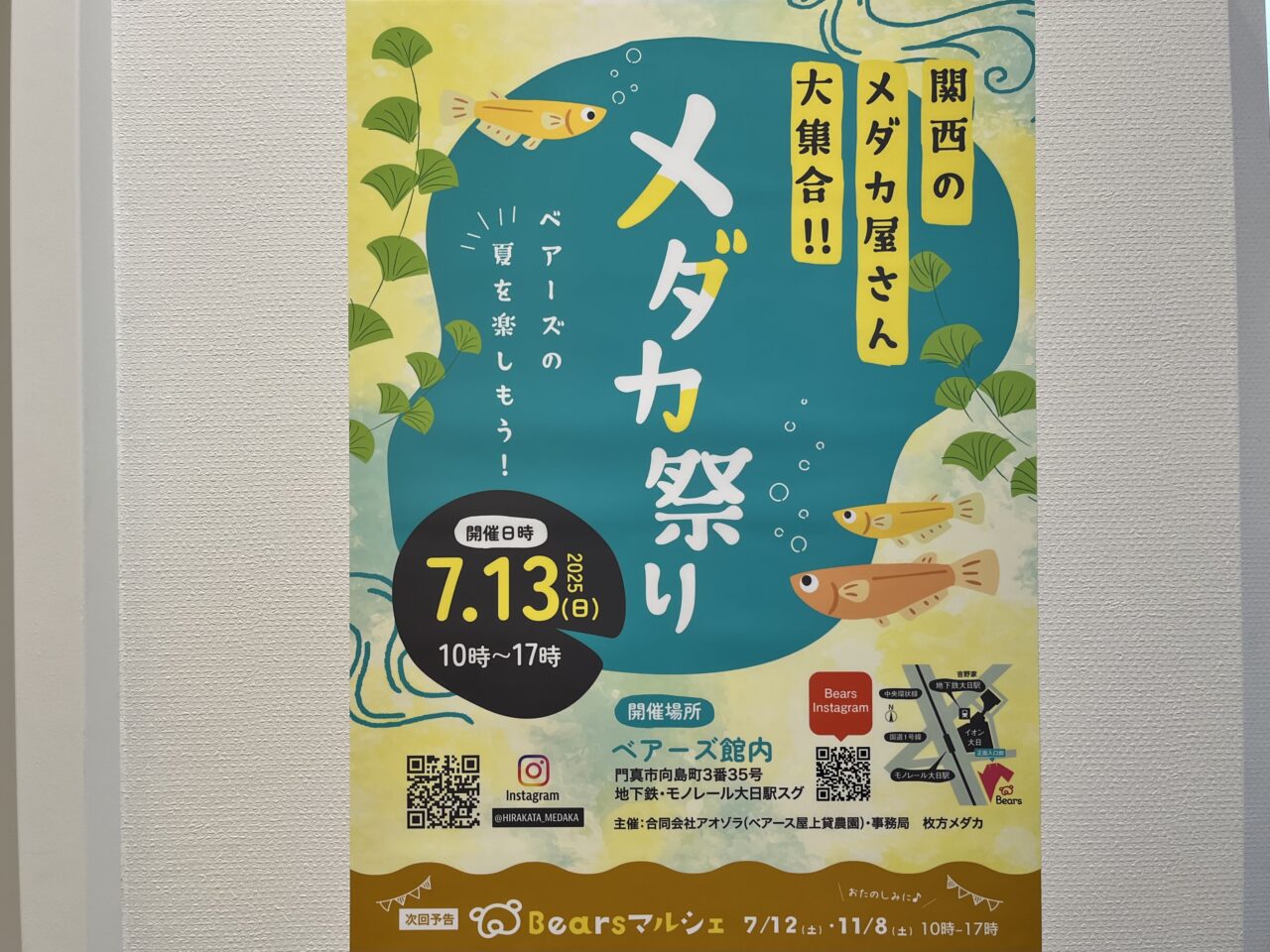 ベアーズ大日のメダカ祭りのチラシ