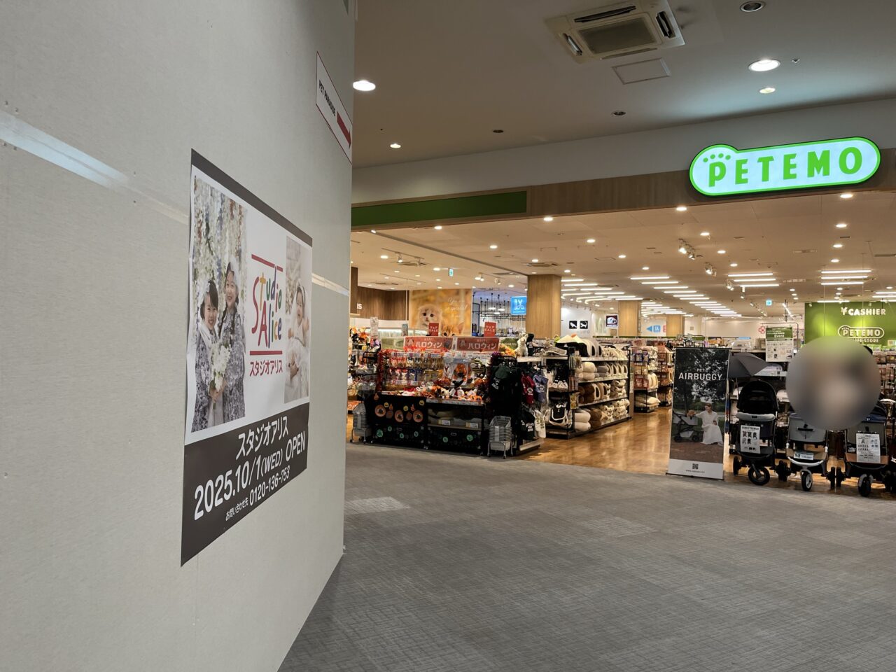 スタジオアリス移転