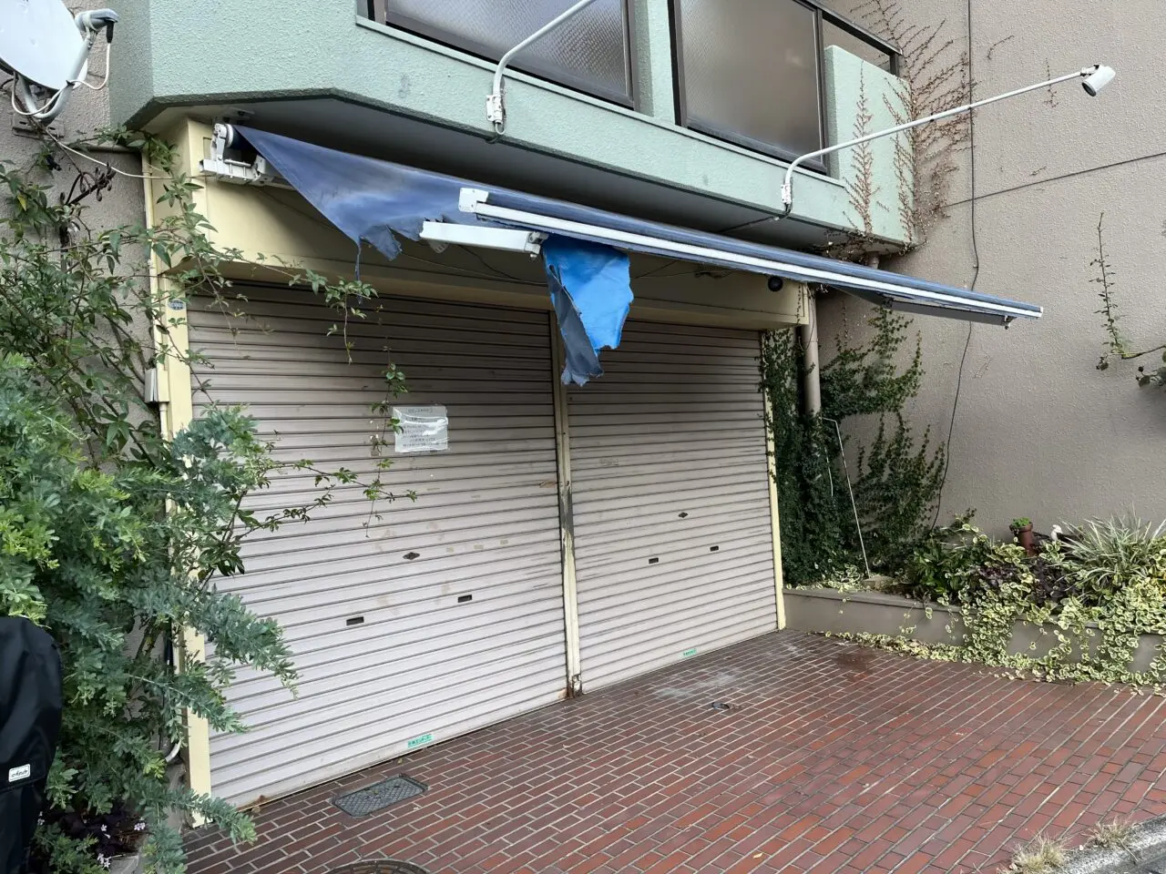 カフェラドゥーノ