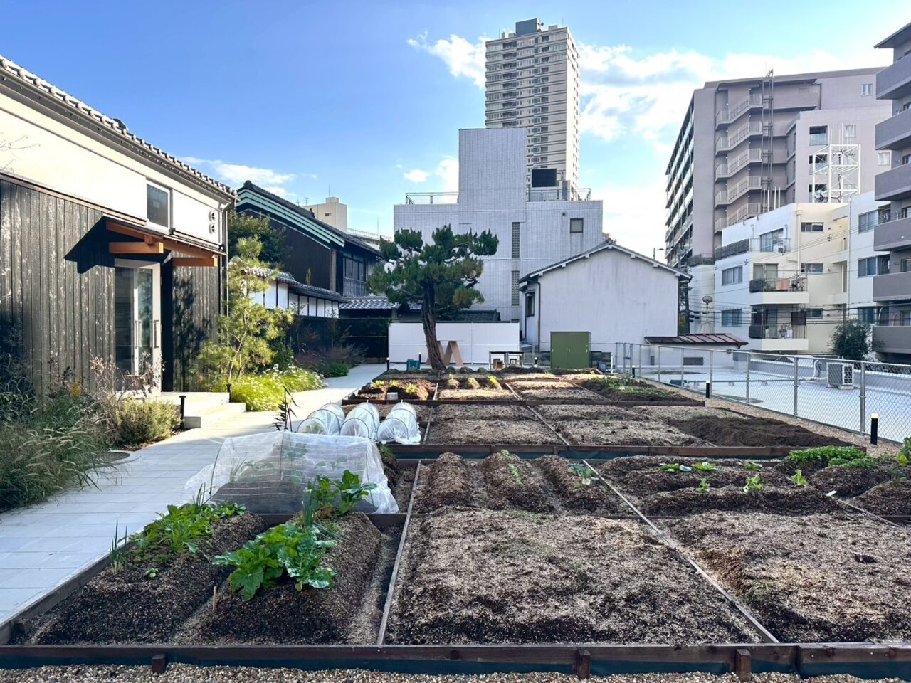 はたけびらきマルシェ